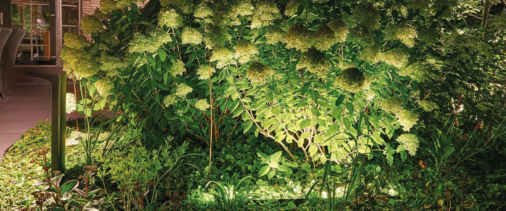 Suslight Sus Line 500 - Afbeelding 5